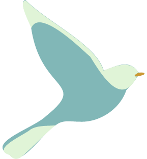 Icoon-Vogel-62 Bird